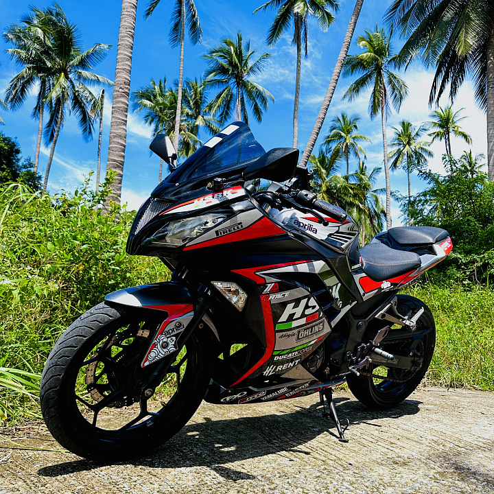 Kawasaki Ninja 300 — 1/6