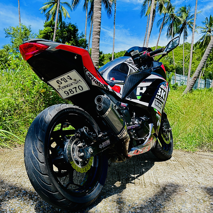 Kawasaki Ninja 300 — 3/6