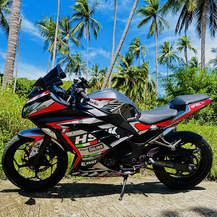 Kawasaki Ninja 300 — 6/6